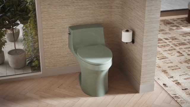 KOHLER 5172-42 San Souci One-Piece Compact Elongated Toilet, Aspen