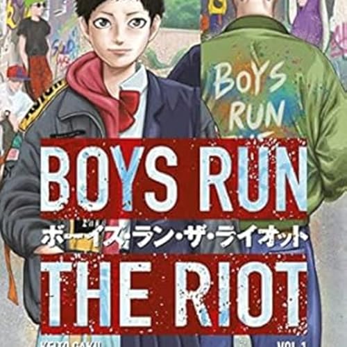 44. Boys Run the Riot cover art