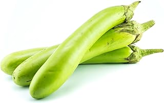 Satsuma Long Green Eggplant Asian Heirloom Premium Seeds for Planting Packet