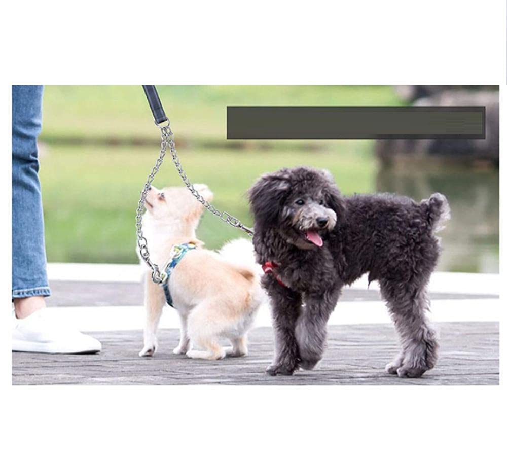 Hundeleine, Doppelte Hundeleine, Starke aus Eisenkette, for Laufen und Gehen, Haustierleine, Leine for 2 Hunde, S(S)