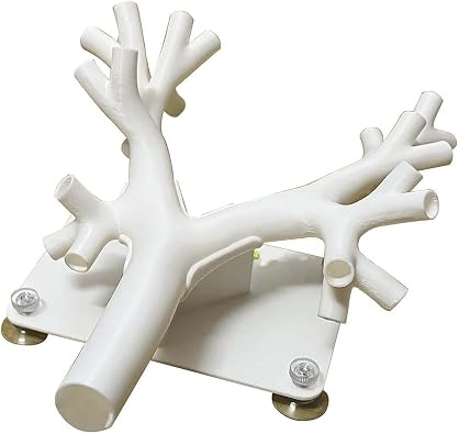Bronchoscopy Training Model Bronchial Tree for Human Airway Model