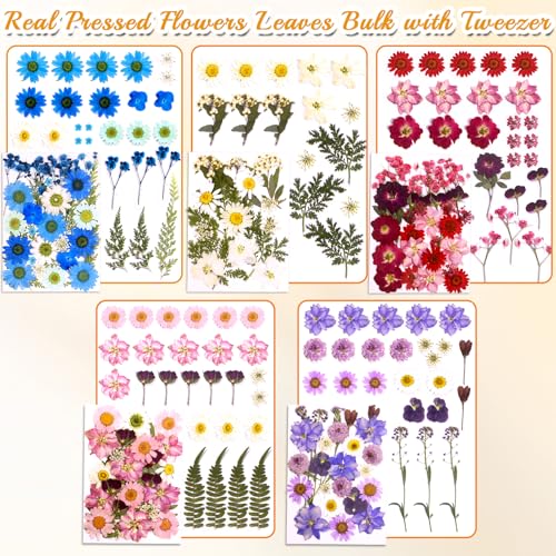 Flores prensadas secas para manualidades 5 hojas miniatura 3