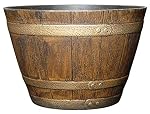 Planters Oak