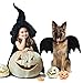 Legendog , Halloween , Pet Costume, Bat Wings for Dogs with Dog Leash and Pumpkin Bells