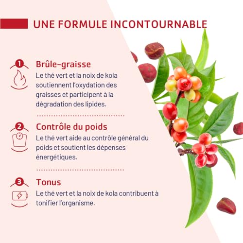 JUVAMINE - Brûle Graisse - Programme Minceur - Thé vert, Kola et Café Vert - Vegan - Aide au Contrôle Général du Poids - Contribue à Tonifier l'Organisme - 60 Gélules - Fabriqué en France – Image 6