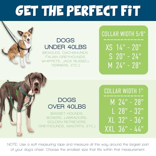 2 Hounds Design 859131002199 No-Pull Dog Harness with LeashLarge (1zoll Wide) LBlack