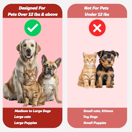 Image of Pet Toothbrush for Dogs, Cats with Soft Bristles - Easy Teeth Cleaning & Dental Care, Non Slip Dual Head Dog Toothbrush for Medium & Large Pets, Toothpaste Not Included, Pack of 2 Pink & Green