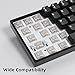 XVX Mechanical Keyboard Switches Set, Pre-Lubed Switches, Durable Spring, Compatible with MX Keycaps for Gaming Keyboard DIY - 35 Pieces, Crystal Clear Switches