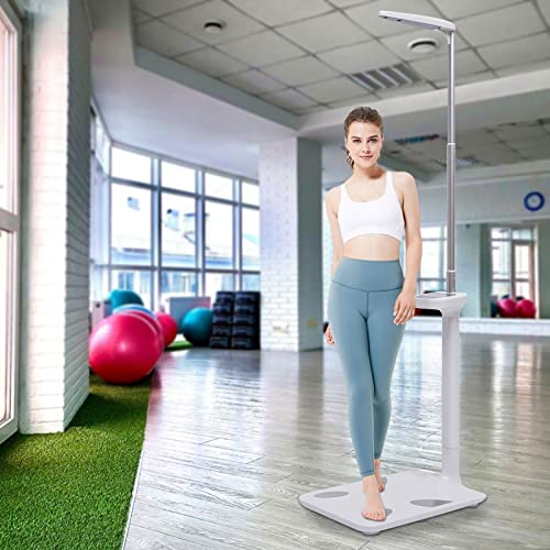 Professional Digital Physicians Scale 440Lbs/200Kg Capacity Digital Medical Scale For Body Weight And Height Scale Range 80-195Cm Bmi Body Fat Measurement Device (Us Stock) #TOP1
