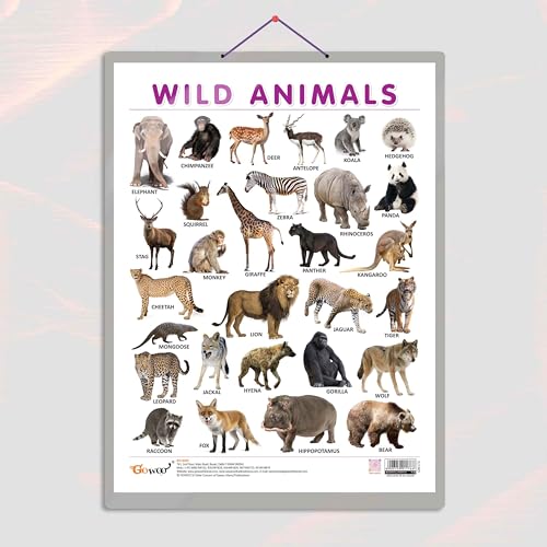 Image of GO WOO WILD ANIMALS CHART HARD LAMINATED | Jungle Explorers Animal Chart