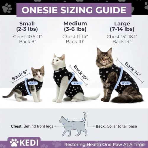#1 Best Cat Recovery Suit - Premium Pet Apparel Set - Image 4