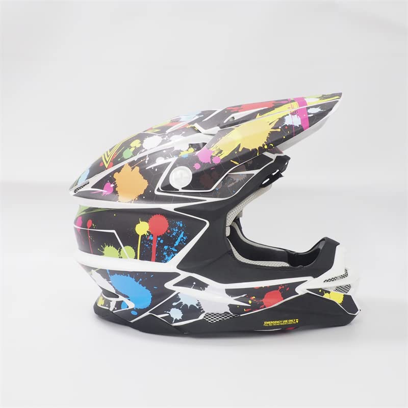 WTAPS NUTS ART WORKS デカール ヘルメット　カスタム WTAPS NUTS ART WORKS デカール ヘルメット カスタム WTAPS NUTS ART