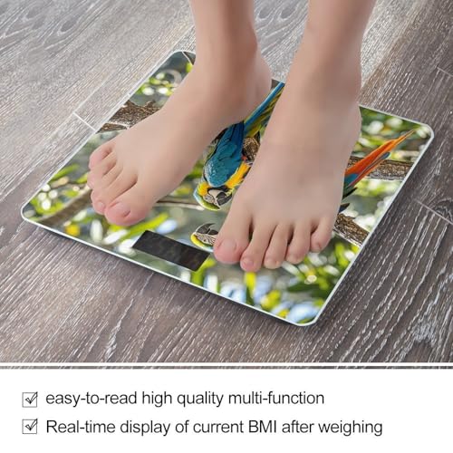 Báscula digital de baño con diseño Colorful Parrots miniatura 5