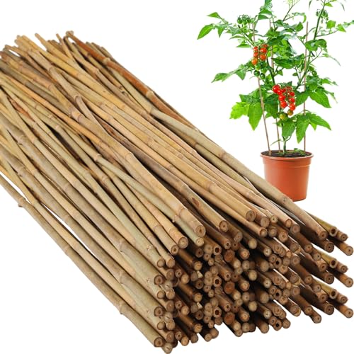 Suzile 60 Bamboo Stakes Bulk, Natural Plant Stakes Bamboo Garden Supports Climbing for Tomatoes, Beans, Vegetable and Potted Plants (48 Inch)