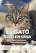 EL GATO SOLO EN CASA: Cómo hacer afortunados a los gatos domésticos
