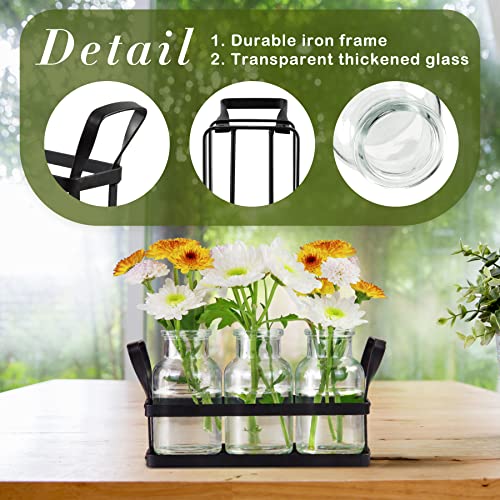 Jkwokback Plants Propagation Station With Metal Stand, Plant Terrarium With 3 Air Propogation Flower Vase Glass For Hydroponic Plants Cutting Home Garden Desktop Office Decor #TOP1