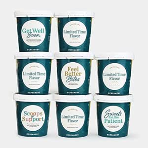 Ultimate Get Well Soon Ice Cream Care Package Gift Box - 8 Pack of eCreamery Premium Handcrafted Ice Cream