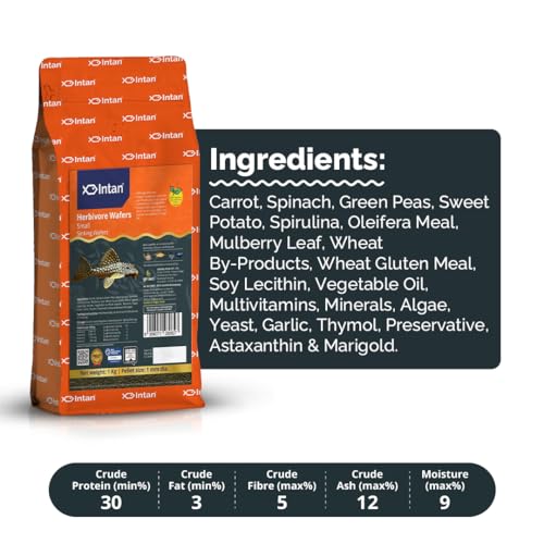 Image of Intan Herbivore Wafers (Small 1mm Sinking) | 1Kg - Highly Nutritious Ornamental Fish Food for Herbivorous Fish - Mollies, Mbunas & Plecos | Growel Feeds