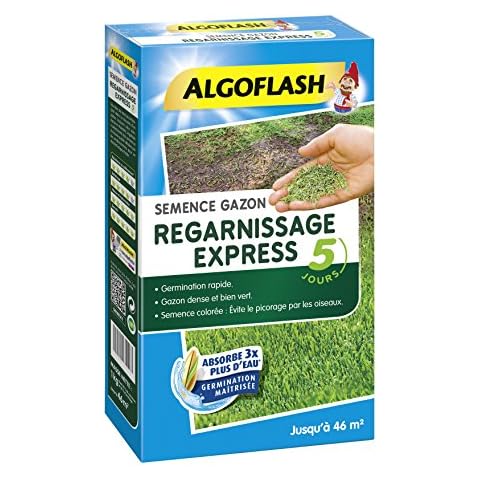 Algoflash Gazon Regarnissage Express Cover