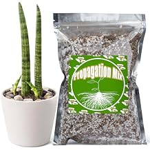 Doter Plant Propagation Potting Mix 2qt, Suitable for Rooting Plant Cuttings, Enhances Rooting by Providing Optimal Aeration and Drainage