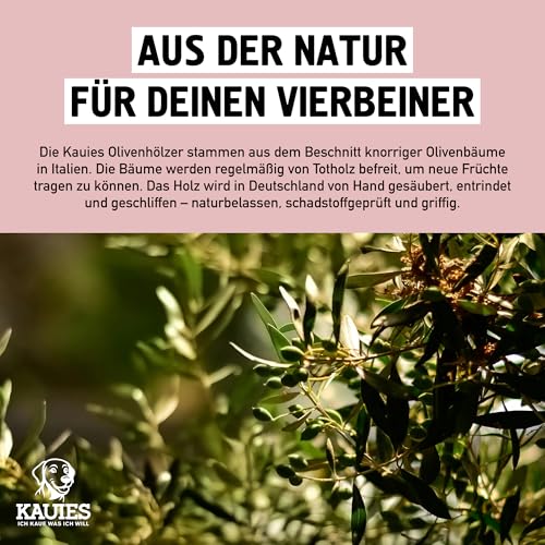 Kauies Kaffeeholz für Hunde mit Olivenöl - Hundespielzeug 100% natürlich, vegan, koffeinfrei & kalorienfrei, schadstoffgeprüft, langlebiges Kauholz für Hunde ab 20 kg, Größe L (1er Pack)