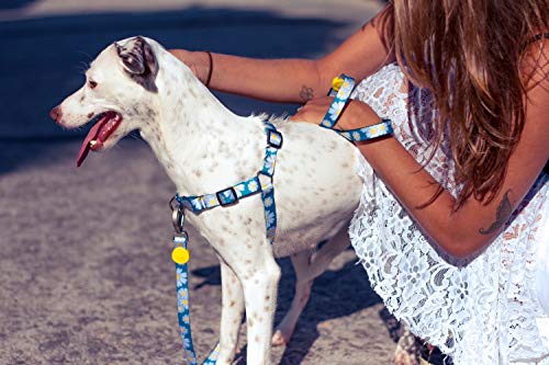 Peitoral Para Cachorros dog27 Daisy Tamanho: Médio