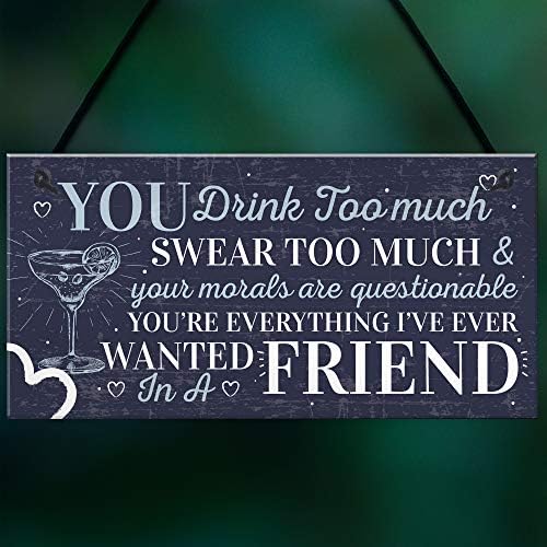RED OCEAN Funny Best Friend Friendship Sign Drink Too Much Alcohol Gin Vodka Birthday Gift Plaque