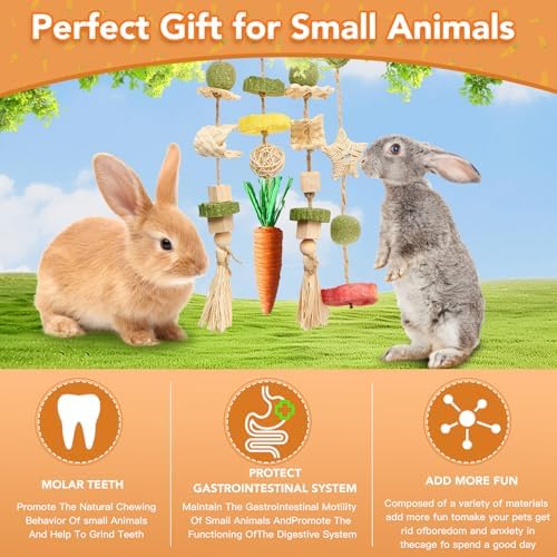 Rabbit Chew Toys 토끼 케이지 걸이식 장난감 및 간식 라탄 링, 간식 포함, 설치류 반려동물 치아 건강 — 사진 6
