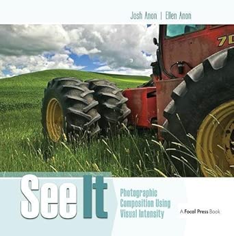 See It: Photographic Composition Using Visual Intensity book cover