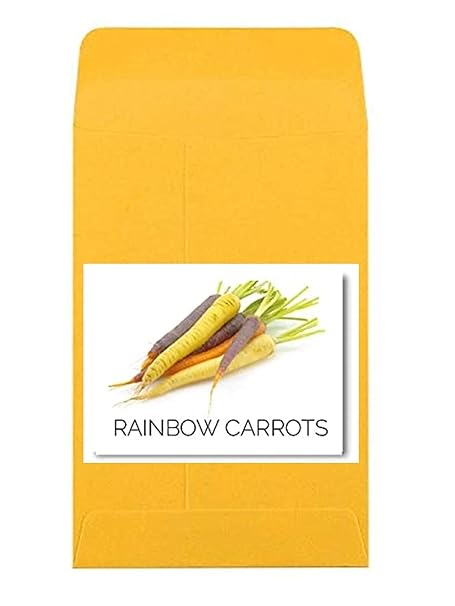 VibeX Heirloom Multicolored Carrot Seeds-500 Seeds