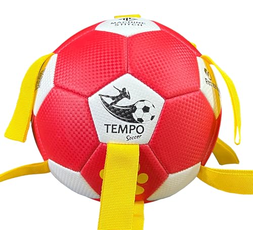 MONDOGIOCHI Pallone per Cani Energici con Corde,Palla per Cani Facile da Afferrare, Palla Galleggiante in PVC per Gioco Interattivo Indoor Outdoor 4 Colori (Rosso e Giallo)
