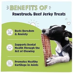   Pawstruck-Premium-Beef-Jerky-Dog-Treat-Chews-Medium-4-6-Strips-Hip-Joint-Health-Naturally-Rich-in-Glucosamine-Chondroitin-No-Added-Preservatives-15-Count-Pack-of-1-Packaging-May-Vary