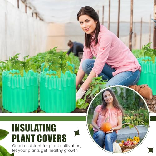 Vincreem 16 Pack Wall of Water Plant Covers 24" Reusable Garden Season Extender Insulating Protector Keep Plants Warm for Early Spring Tomatoes Peppers Cold Weather Frost Protection Wind Guard(Green) by Vincreem - Image 5