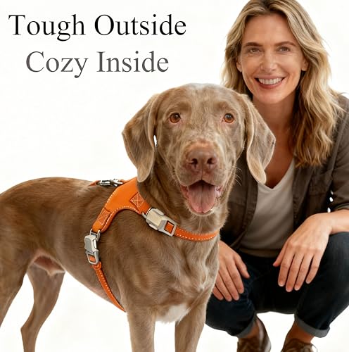 Pawkooly Magnetic Buckle Dog Leather Harness with 4 FT Leash | Anti-Wrinkle & Anti-Bite Leather | Ultra-Soft & Skin-Friendly | 450LB Escape-Proof Magease Buckle - Easy On/Off (Red, Medium) by Pawkooly - Image 6