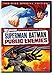 Superman/Batman: Public Enemies (Two-Disc Special Edition)