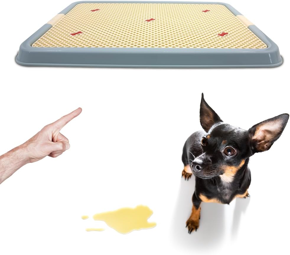 Dog Bath, Training Mat, Dog Pet Potty with Mesh Diaper Holder for Dog, Rabbit Litter, Dog Training, Blue