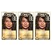 L'OrÃal Paris Superior Preference Fade-Defying + Shine Permanent Hair Color, 5A Ash Brown, 3 Count Hair Dye