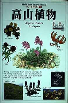 51O2OS6tX3L._AC_UF350,