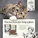 Betty's Landhausküche Frischebeutel Pouches Nassfutter Katze, Känguru mit Borretschöl 12 x 100g, getreidefrei, beste Qualität, hochwertiges Fleisch, schonend gegart, hohe Bioverfügbarkeit