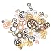 You&Lemon 100g Steampunk Zahnräder Vintage Steampunk Zahnräder Set Anhänger Metall für Schmuck Basteln
