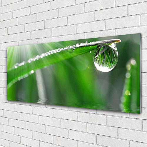 Impression acrylique haut de gamme tableau déco design floral avec 4 crochets - 3
