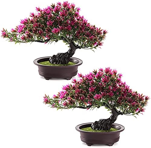 ZEAYEA 2 Pack Artificial Bonsai Tree, Small Fake Plants Decor, Indoor Faux Potted Plant for Living Room Home Table Bathroom Bedroom Office Shelf Farmhouse Decorations, 9.5" Height