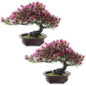 ZEAYEA 2 Pack Artificial Bonsai Tre...