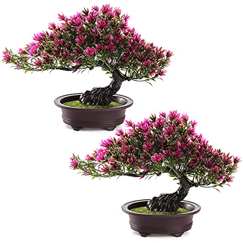 ZEAYEA 2 Pack Artificial Bonsai Tree, Small Fake Plants Decor, Indoor Faux Potted Plant for Living Room Home Table Bathroom Bedroom Office Shelf Farmhouse Decorations, 9.5 Height