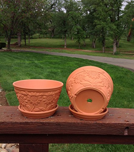 Goodman And Wife Set Of 2 Raised Sunflower Embellished Natural Terracotta Garden Pot With Tray #TOP1