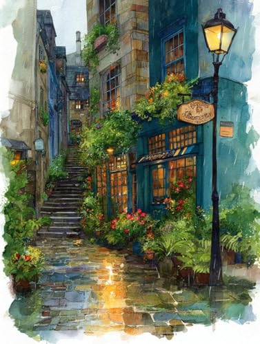 Kit point de croix débutant adulte motif peinture aquarelle Café de la Rue toile 14CT