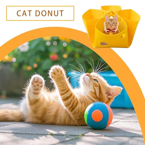 Parque infantil desmontable para gatitos y cama de fieltro 4