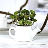 Realista flor artificial que queda tan fresco y de aspecto hermoso año tras año.