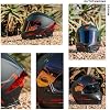 HAX Force Aerodynamic Full Face Helmet for Street & E-Bikes DOT & ECE Certified - Enhanced Dual Visor, Adult Size, Pinlock Ready Matte Black Red L