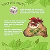 Peaceable Kingdom Dinosaur Escape Cooperative Memory Game of Logic and Luck for 2 to 4 Kids Ages 4+